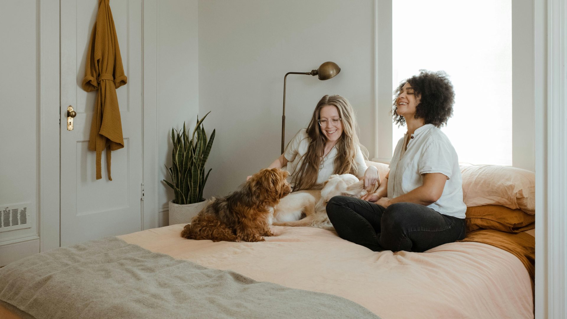 woman in white long sleeve shirt sitting on bed beside brown dog